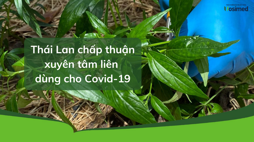 Thái Lan chấp thuận xuyên tâm liên dùng cho Covid-19